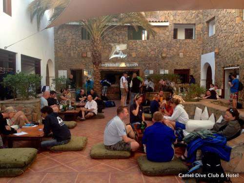 Camel Dive Club & Hotel (Boutique Hotel) 