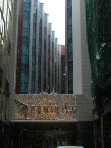Hotel Fenix 