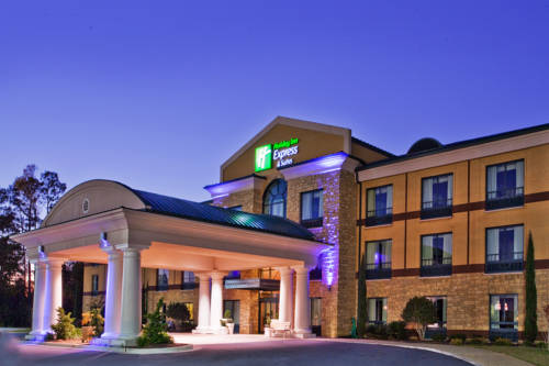 Holiday Inn Express Hotel & Suites Macon-West 