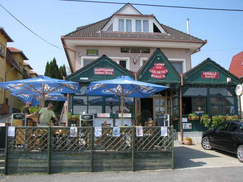 Aranyszarvas-Goldener Hirsch Pension 