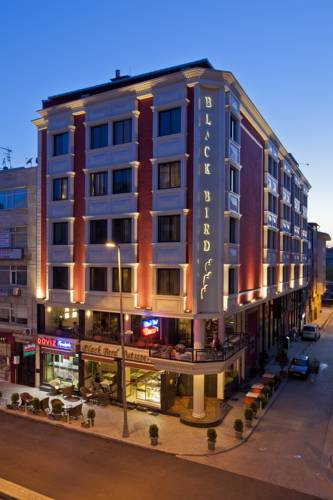 Black Bird Hotel 