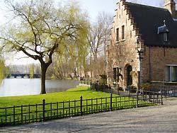B&B Den Witten Leeuw 