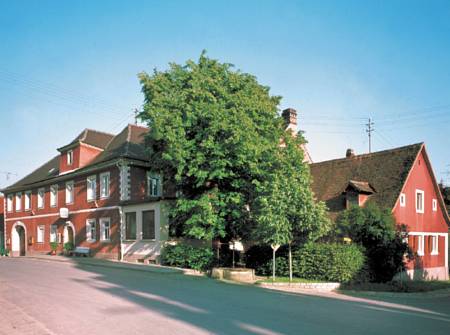 Hotel Grüner Baum 