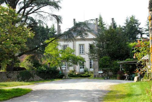 Château De Vauguenige 