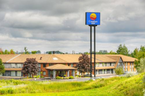 Comfort Inn Newmarket 