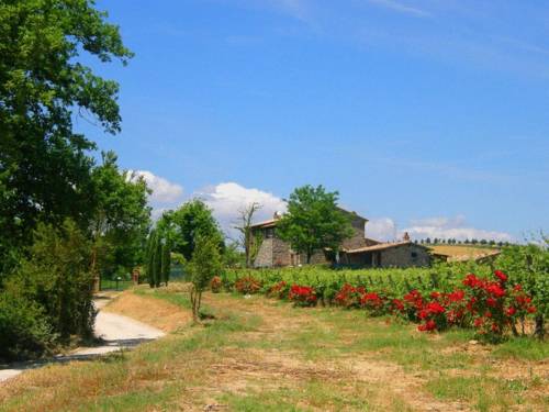 Agriturismo Il Poggio Di Orvieto 