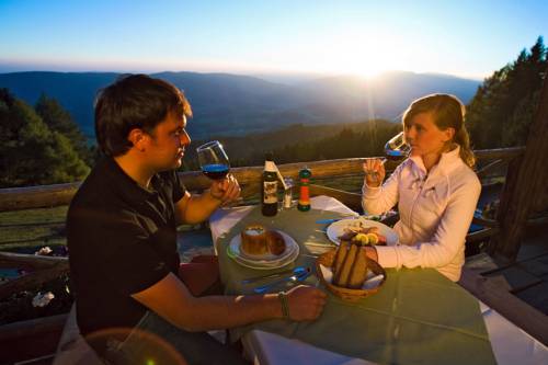 Almwellness Tonnerhütte 