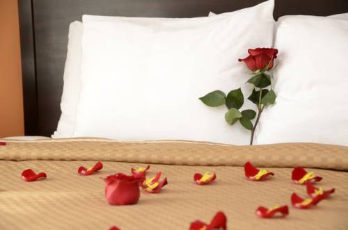 Comfort Suites Gateway 