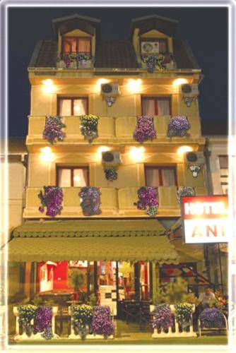 Hotel Ani 