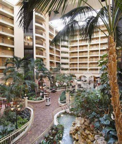 Embassy Suites Orlando-International Drive South/Convention 