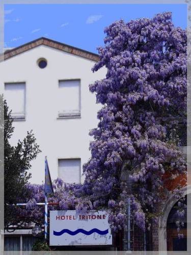 Hotel Tritone 