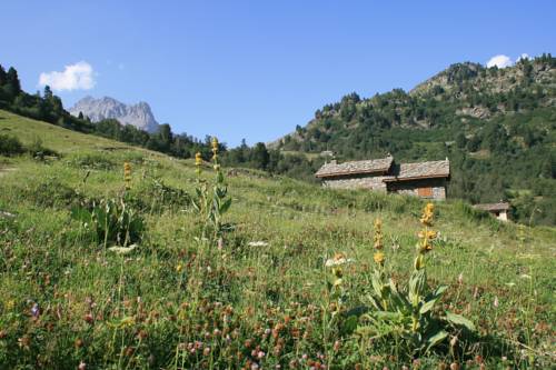 Madame Vacances Résidence Les Chalets Du Thabor 