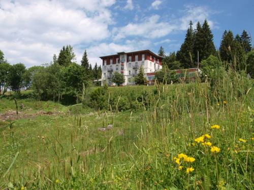 Schwarzwald Wellnesshotel am Notschreipass 