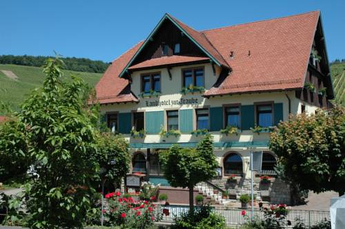 Hotel Traube 