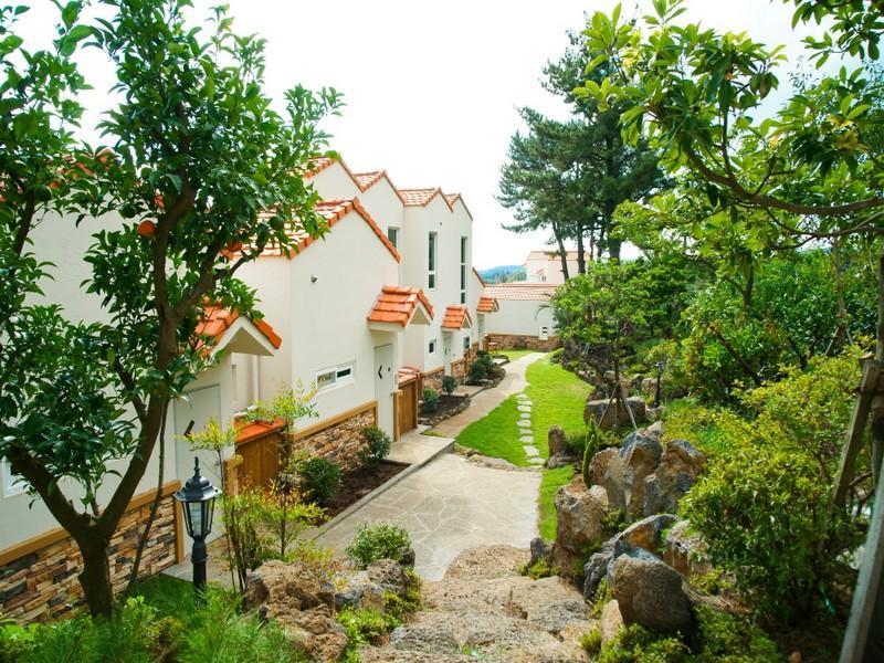Memory In Jeju Pension 济州裴森记忆酒店