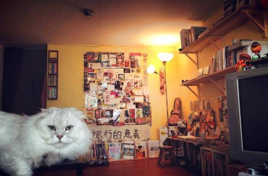 Meaning of Travel Backpackers Hostel 旅行的意义台北背包公寓 