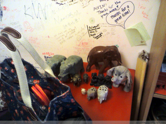 Eight Elephants & Dreaming Dragon Hostel 八只大象青年之家