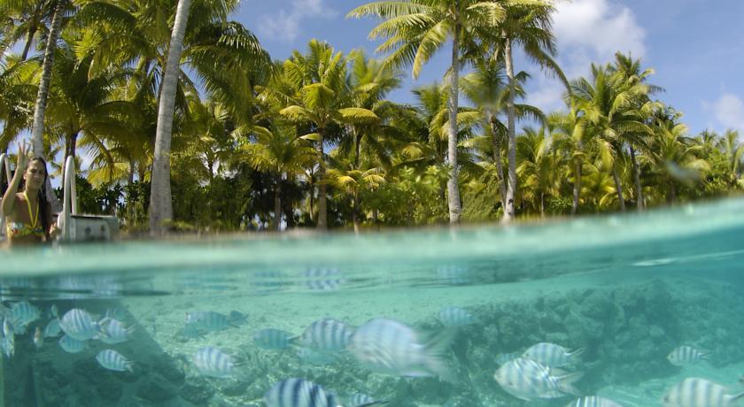  The St. Regis Bora Bora Resort 