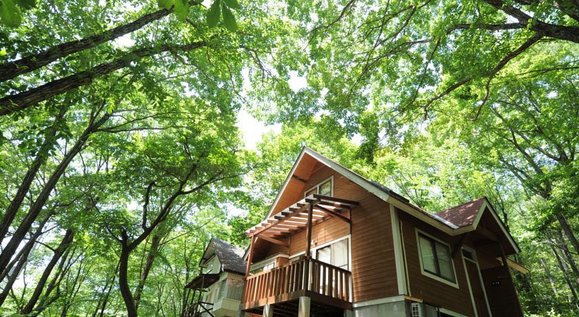 Neo Oriental Resort Yatsugatake Kogen 八岳高原新东方度假酒店