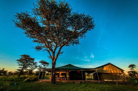 Ang'ata Camp Serengeti  