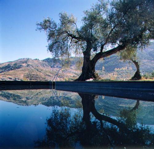 La Almunia del Valle 