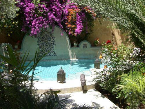 Riad Norma 