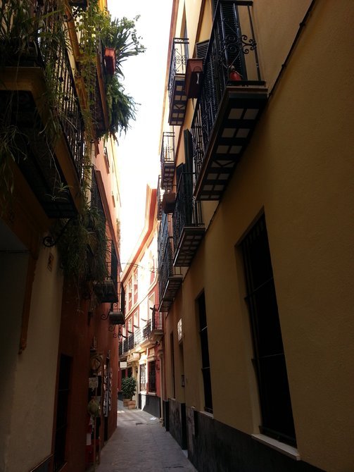 我们的酒店就隐藏在这狭窄的小巷之中，让人又恨又爱的老城小巷！ 