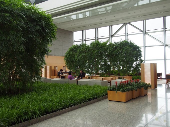 38楼的大堂lounge，竹林间的设计，现代与自然相结合。