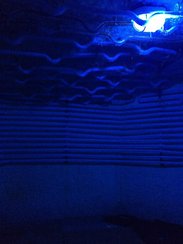 这是冰房，我去~隔壁就是火一样热的房，没敢带手机进去，怕化了~
