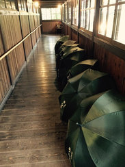 由于今天下雨，酒店在走廊里备好了雨伞