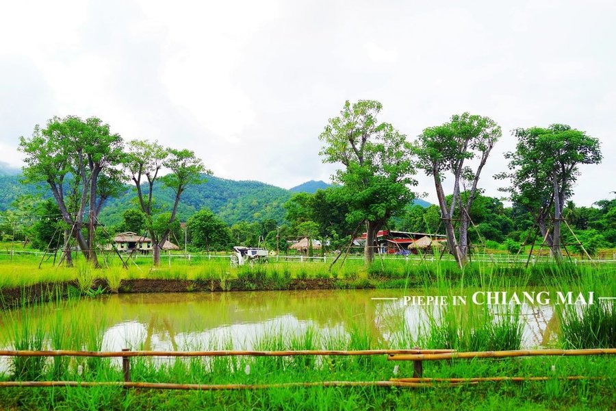 很难想像自己竟居住在这样的一个地方。如诗如画~~